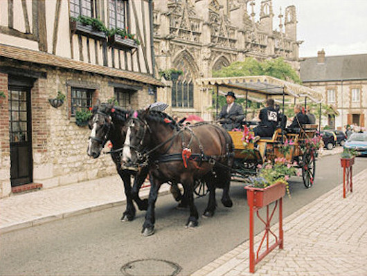 Attelages des Aulnes en Normandie, Album Photos d'attelage de chevaux, Mariage en calèche, Visite de Rouen en calèche, Promenades en calèche