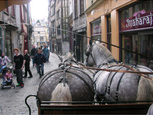 Attelages des Aulnes en Normandie, Album Photos d'attelage de chevaux, Mariage en calèche, Visite de Rouen en calèche, Promenades en calèche