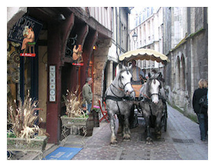 Nos activités, Visite historique de Rouen en calèche, Rouen, Normandie